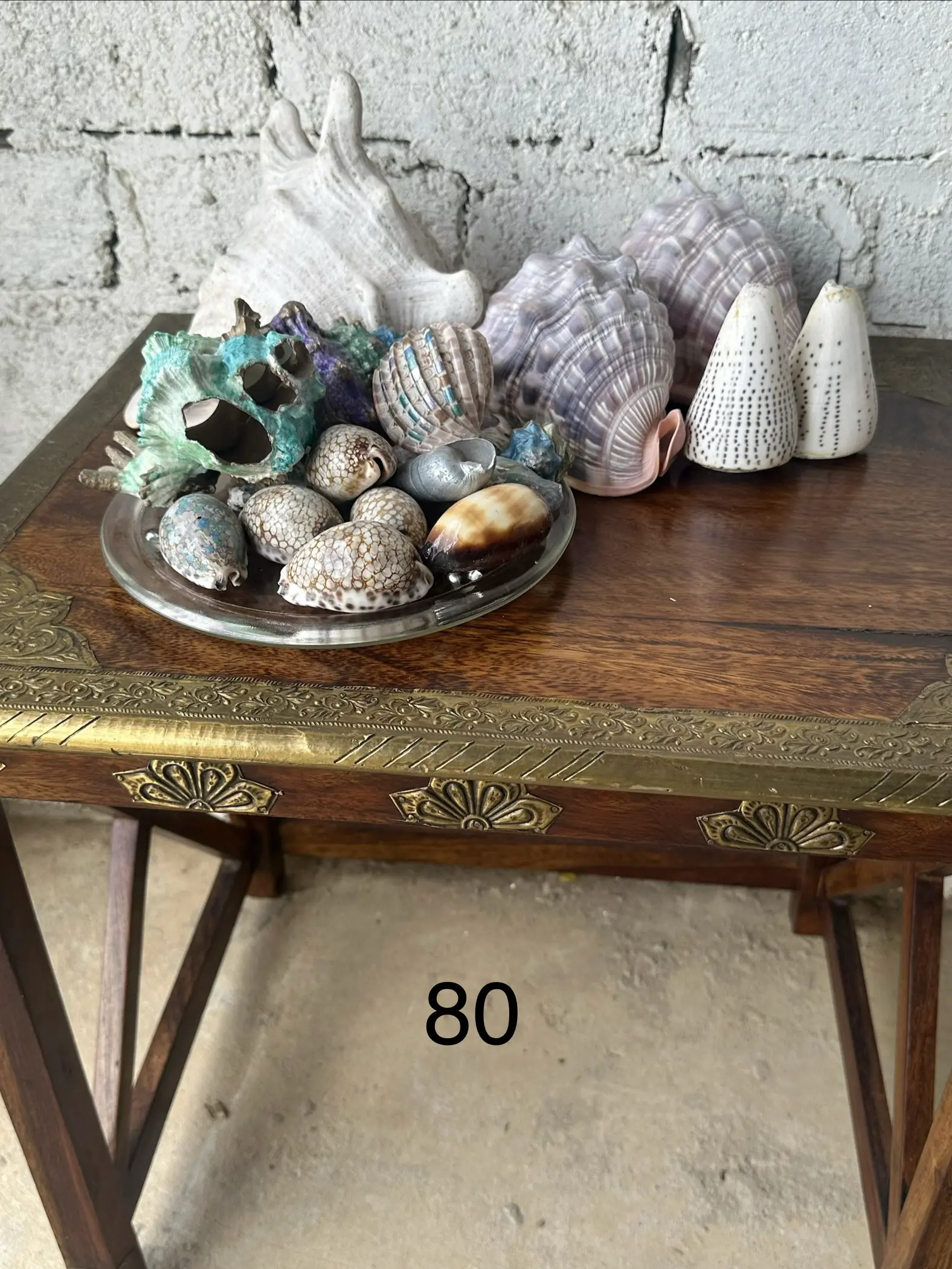 Coastal Shell Assortment
